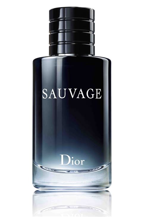 fragrances similar to dior sauvage|dior sauvage aftershave best price.